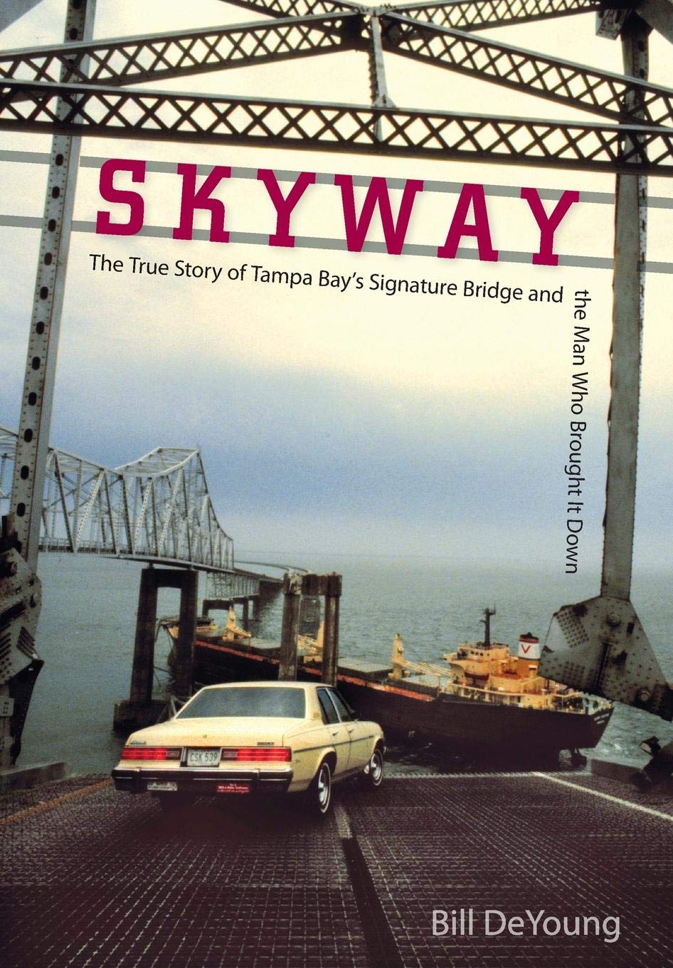 Skyway: The True Story of Tampa Bay's Signature Bridge and the Man Who Brought It Down,New