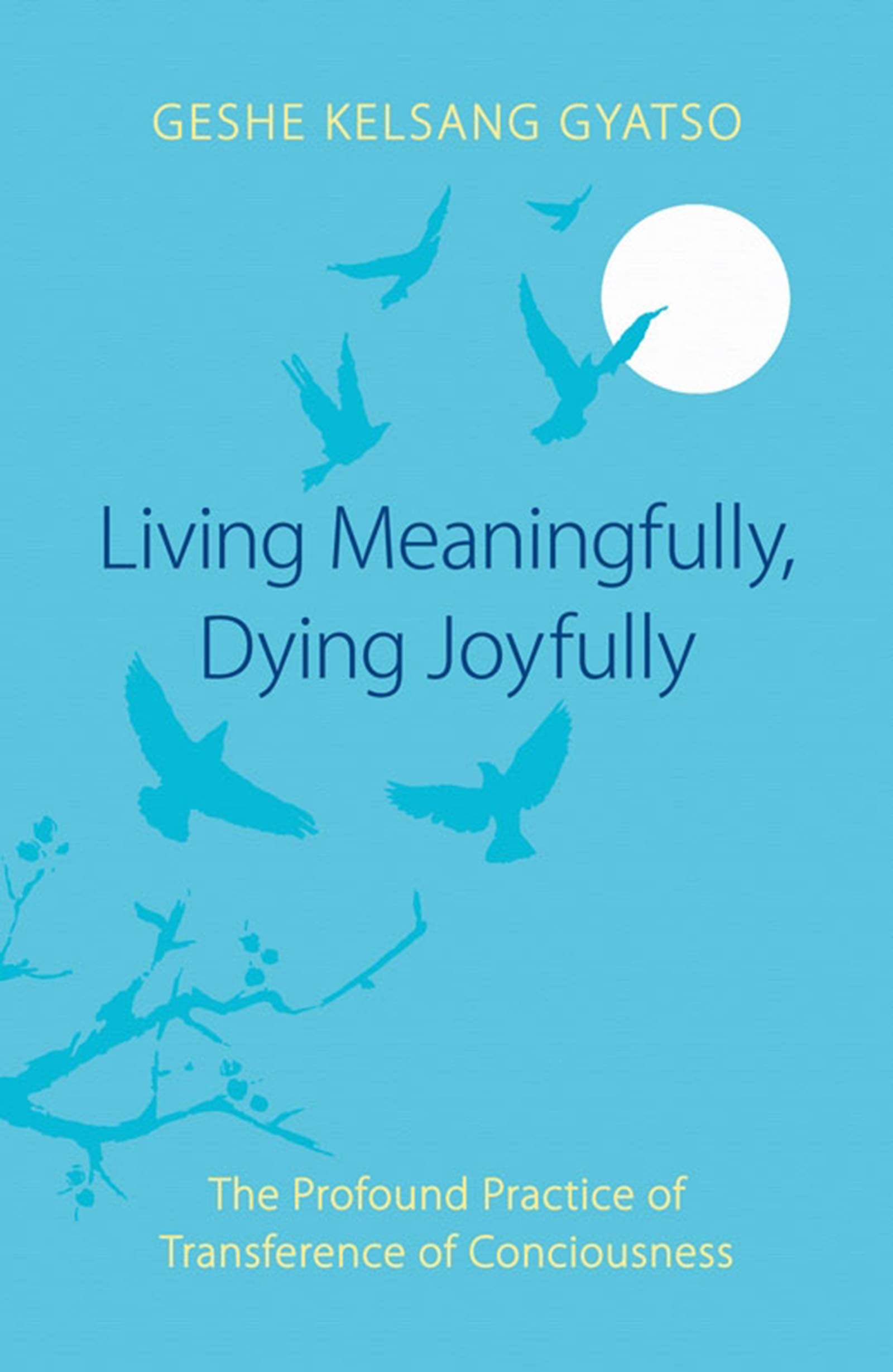 Living Meaningfully, Dying Joyfully: The Profound Practice of Transference of Consciousness,Used