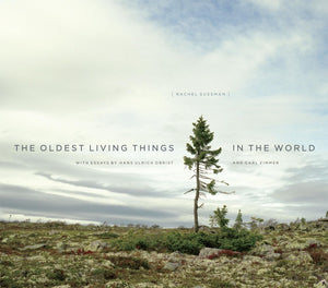 The Oldest Living Things In The World-used