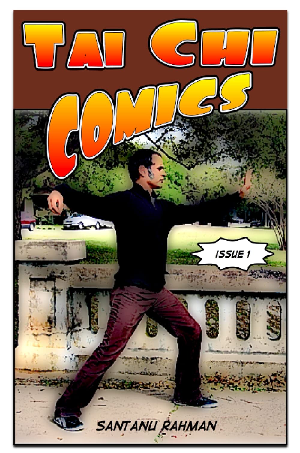 Tai Chi Comics,Used