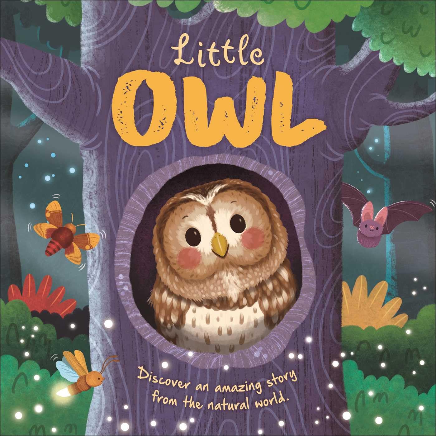 Nature Stories: Little OwlDiscover an Amazing Story from the Natural World: Padded Board Book,New