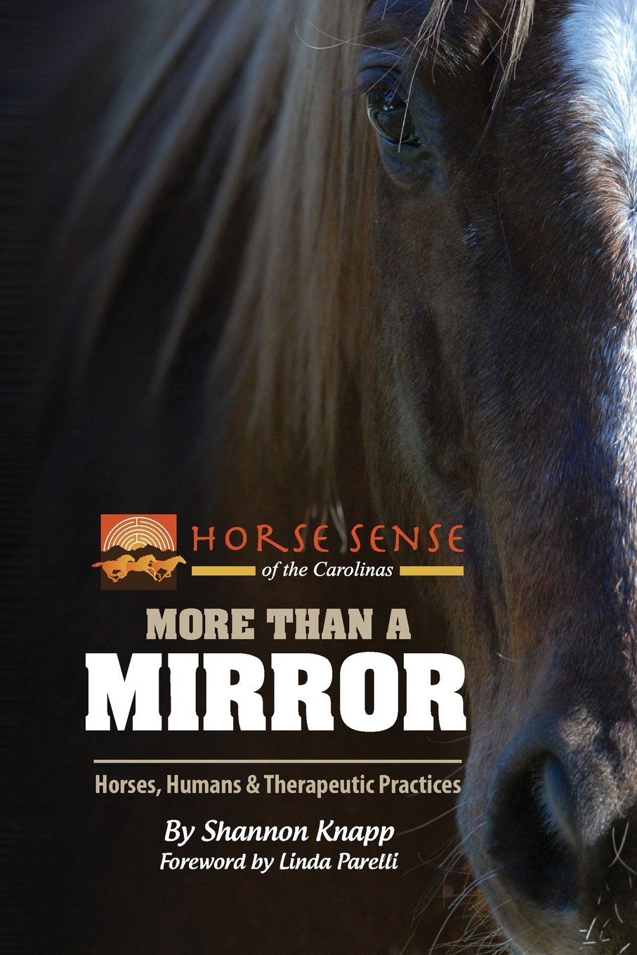 More Than A Mirror: Horses, Humans & Therapeutic Practices (Horse Sense Of The Carolinas),New