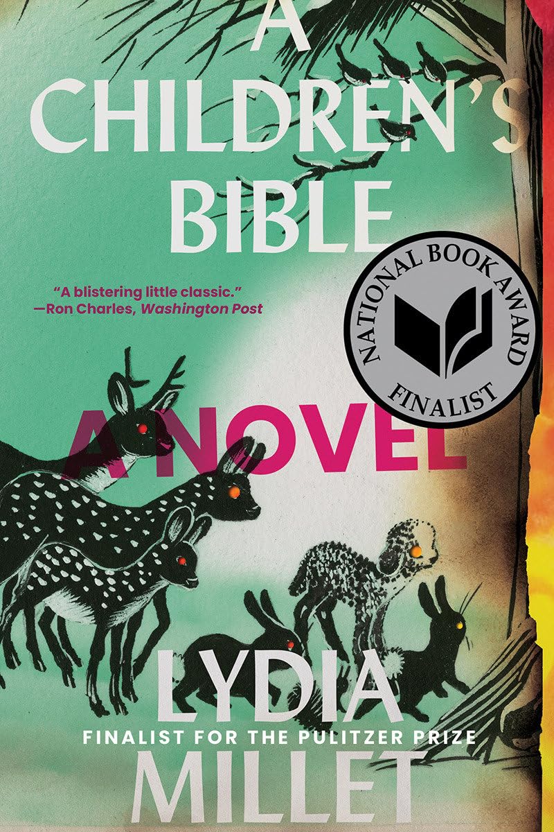 A Children's Bible: A Novel,Used