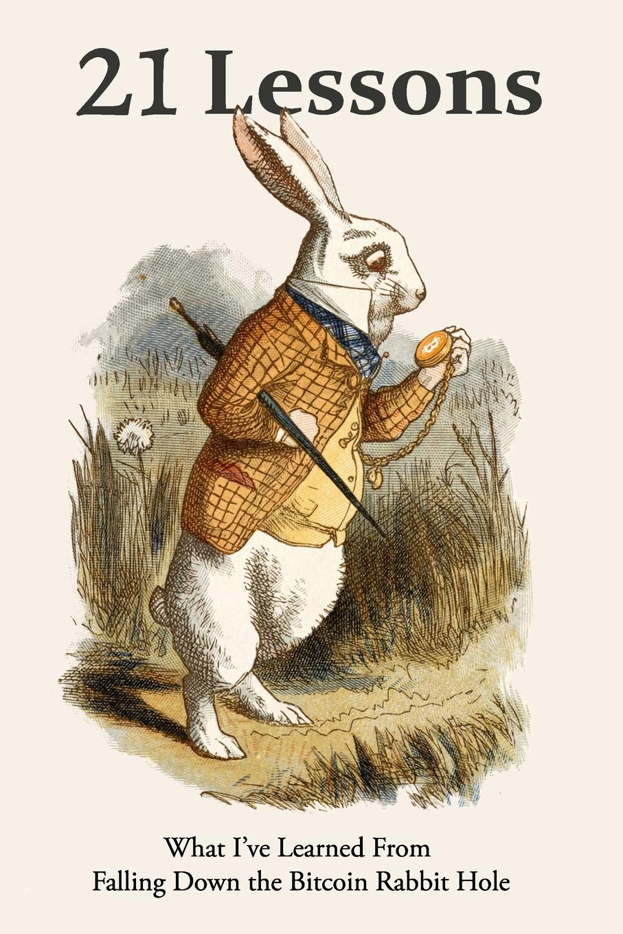 21 Lessons: What I've Learned from Falling Down the Bitcoin Rabbit Hole,Used