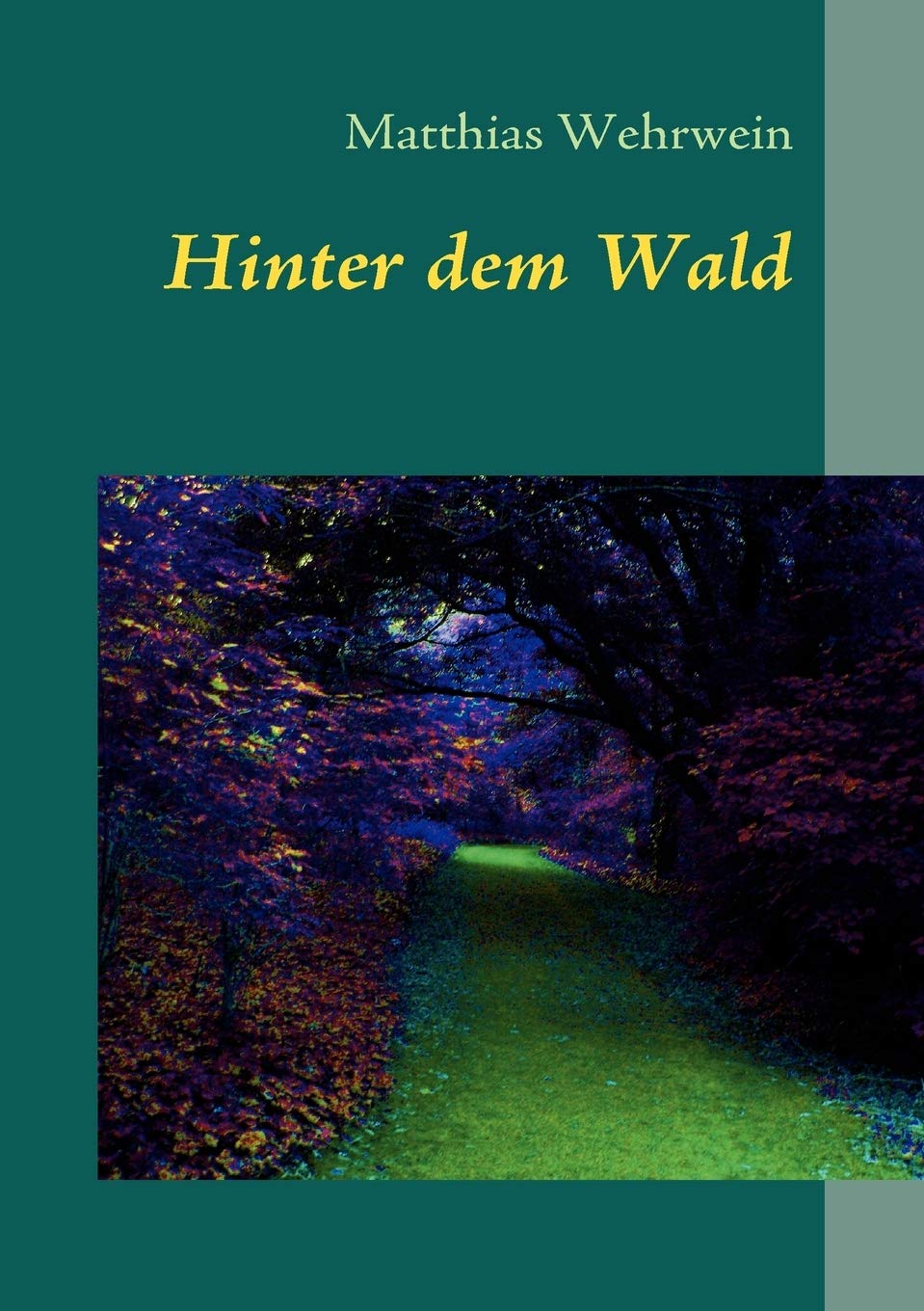 Hinter dem Wald (German Edition),Used