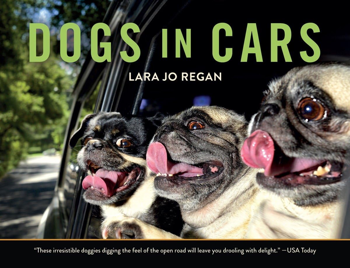 Dogs in Cars,Used