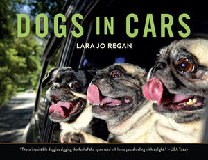 Dogs in Cars,Used