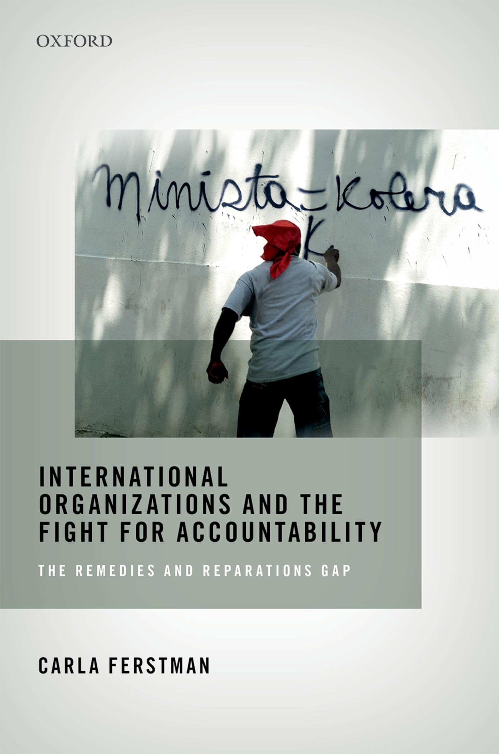 International Organizations and the Fight for Accountability: The Remedies and Reparations Gap,Used