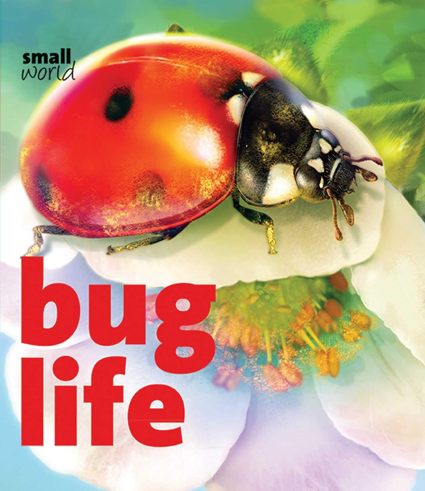 Bug Life (Small World),Used