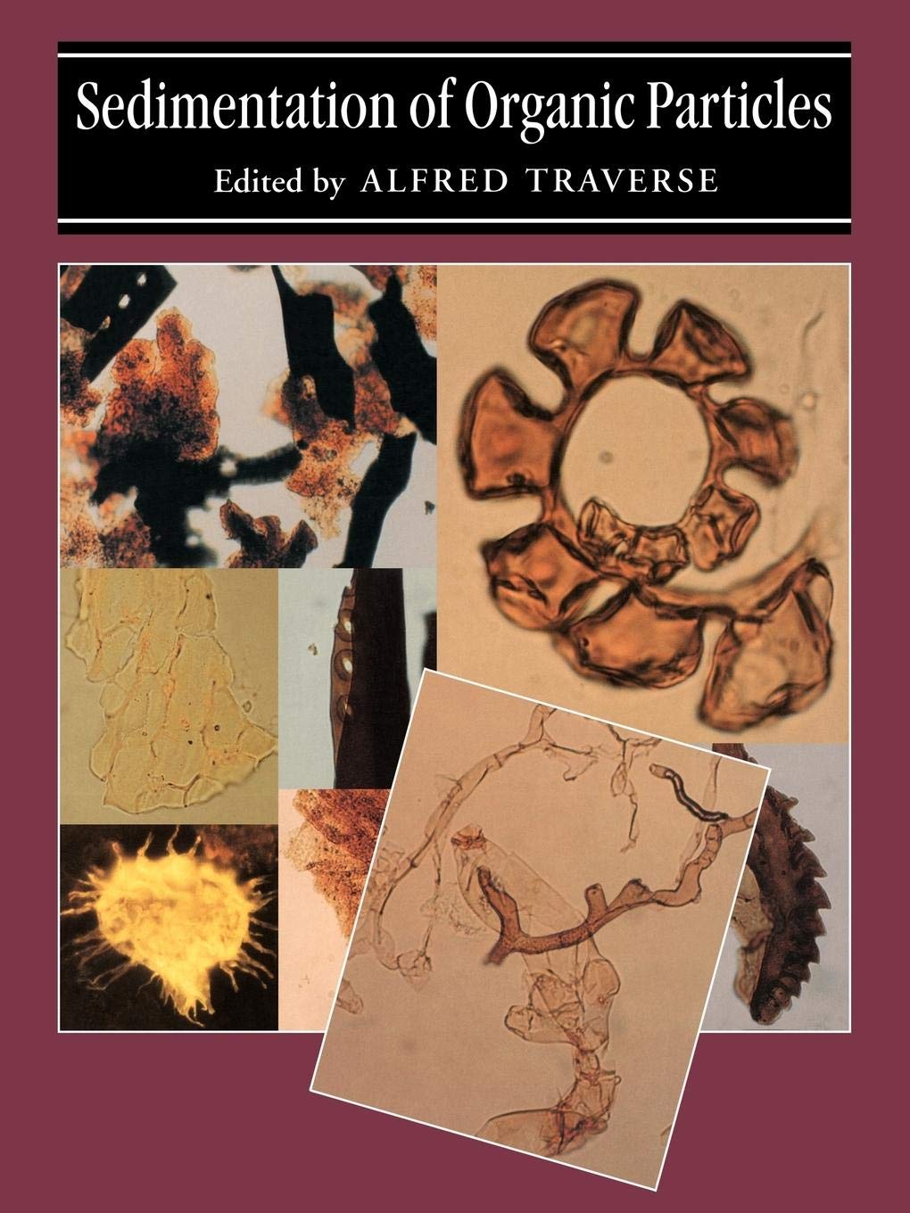 Sedimentation of Organic Particles,New