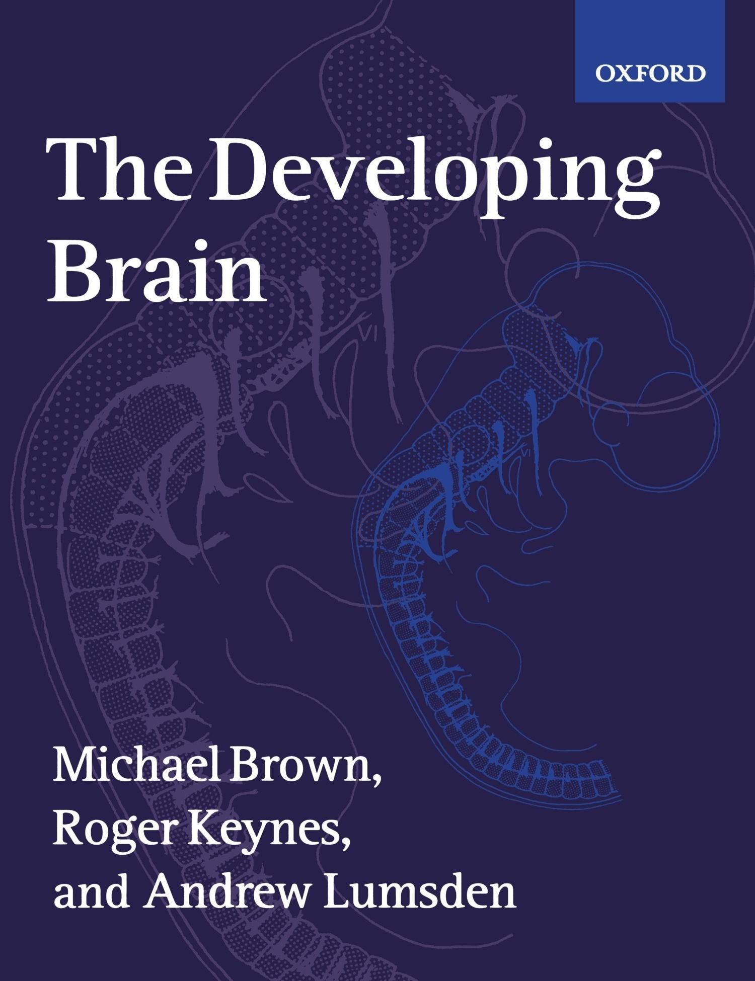 The Developing Brain,Used