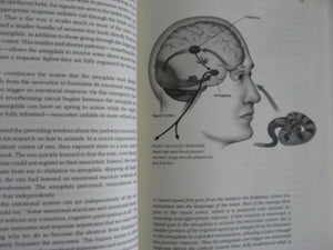 Emotional Intelligence: Why It Can Matter More Than Iq,New
