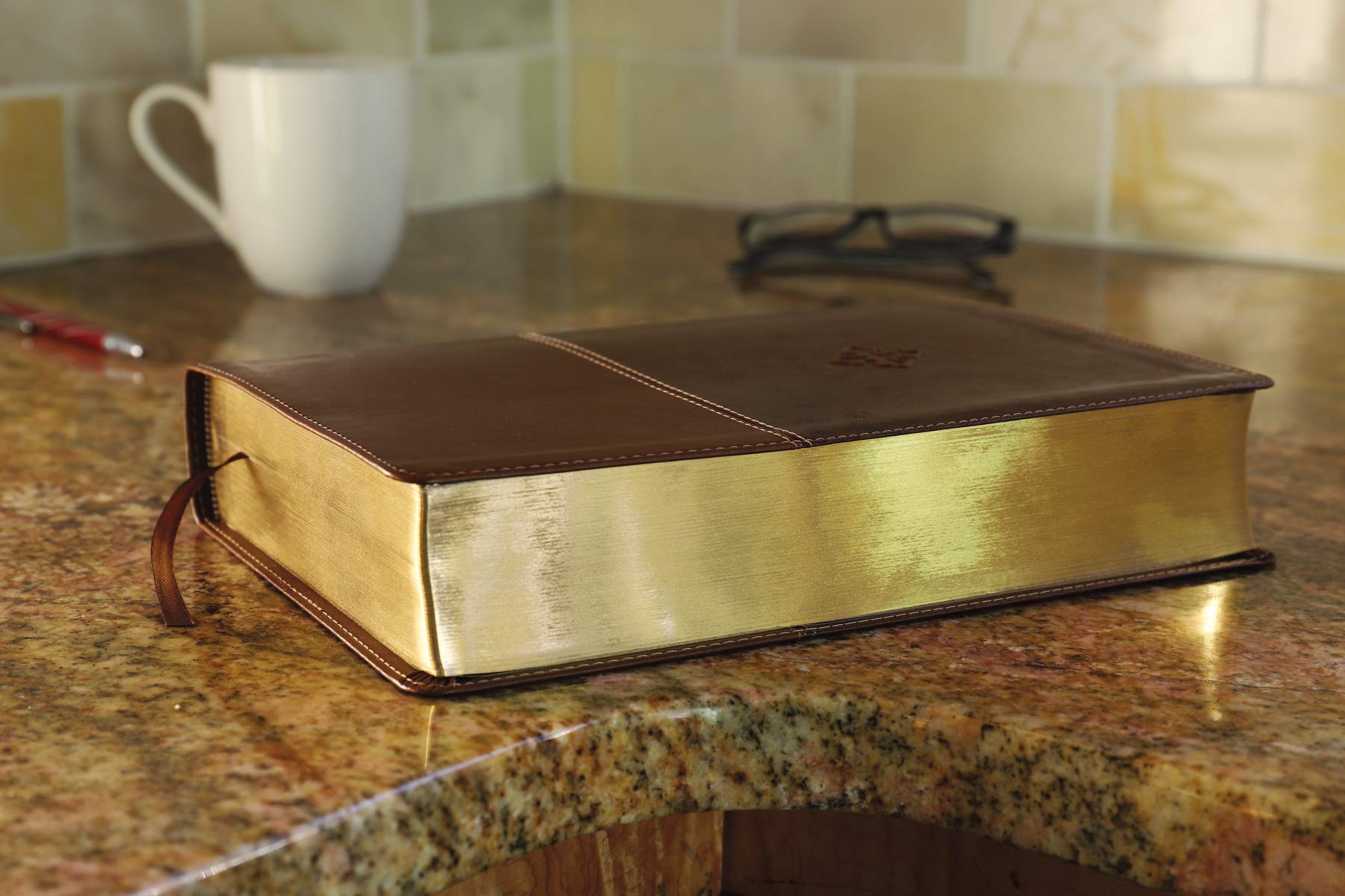 The Amplified Study Bible, Leathersoft, Brown [Large Print]-used