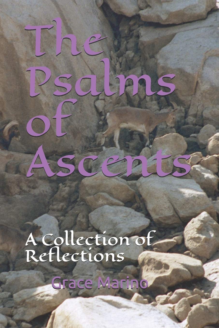 The Psalms of Ascents: A Collection of Reflections,Used