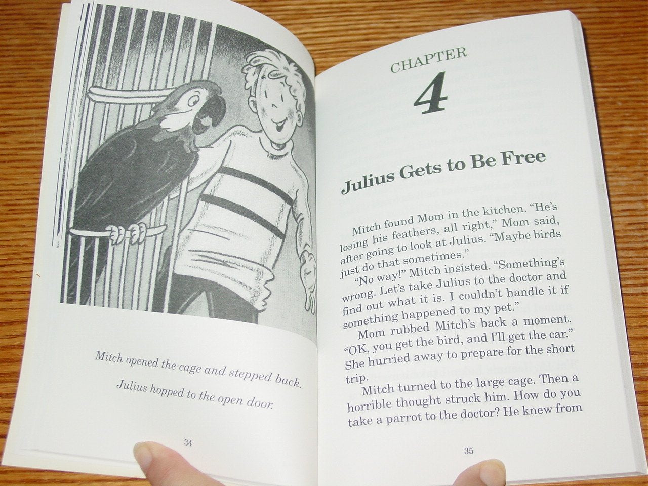 Julius: The Perfectly Pesky Pet Parrot,Used