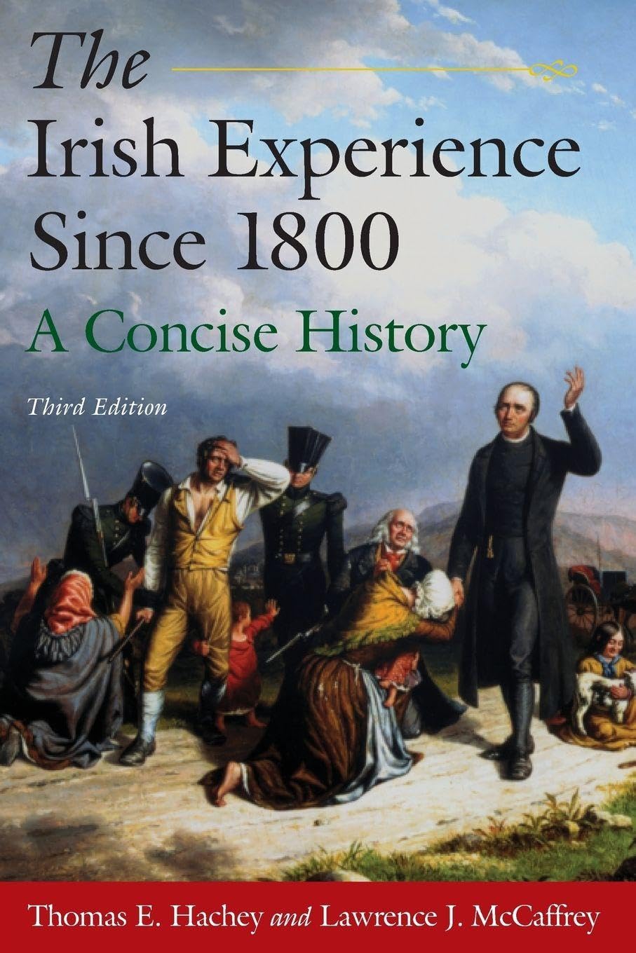 The Irish Experience Since 1800: A Concise History-New Condition