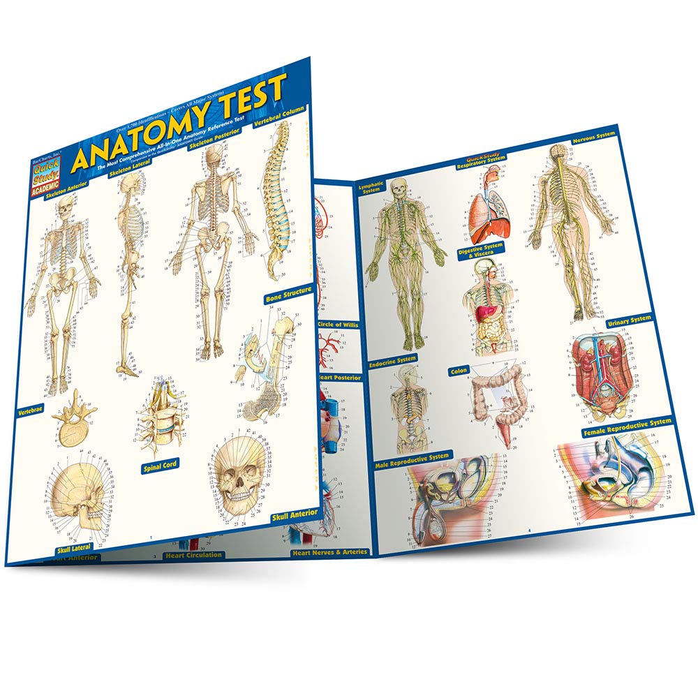 Anatomy Test,New