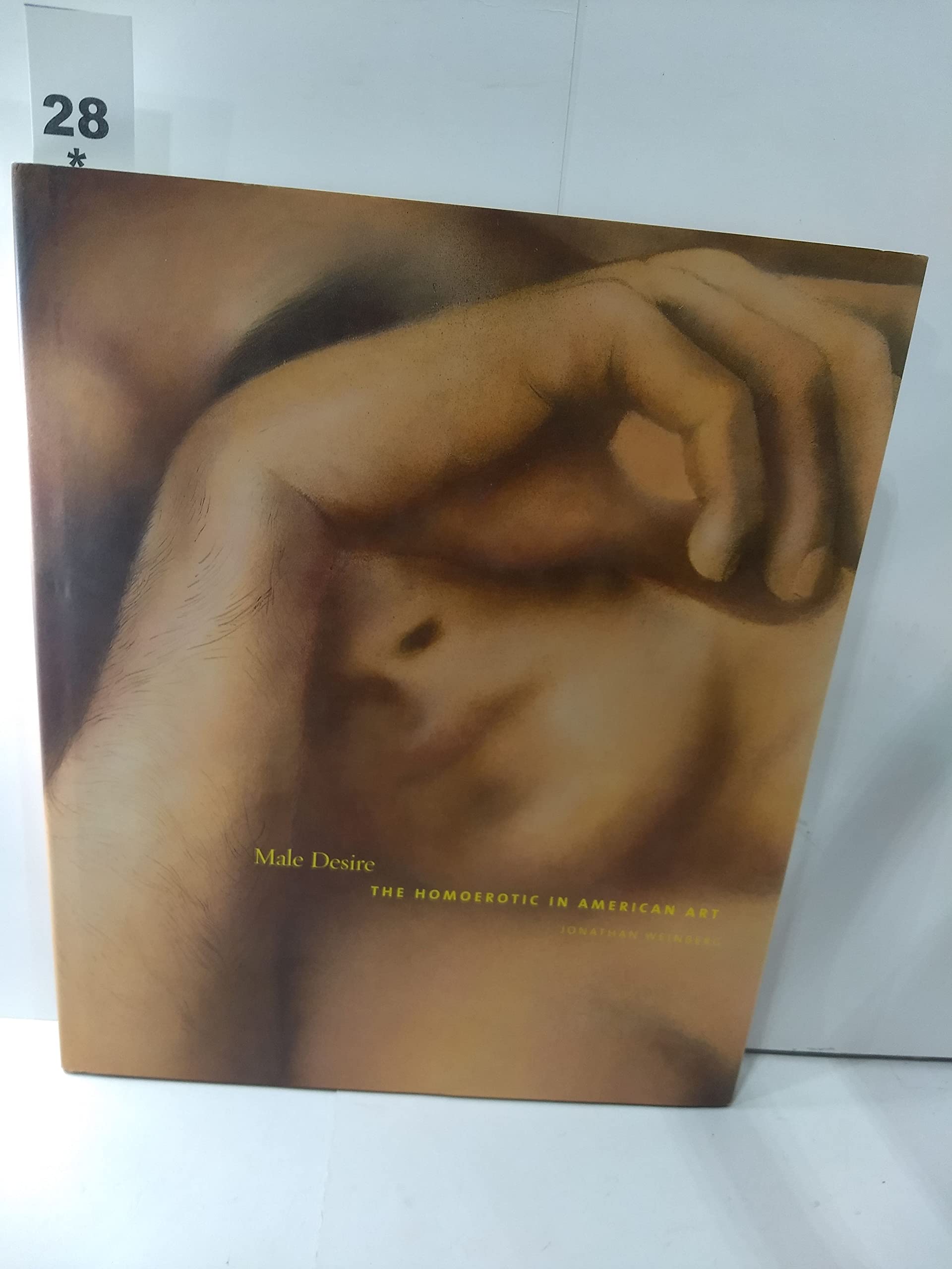 Male Desire: The Homoerotic in American Art,Used