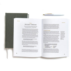 Jonah: Navigating A Life Interrupted (Bible Study Book)