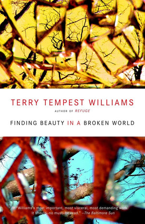 Finding Beauty In A Broken World,New
