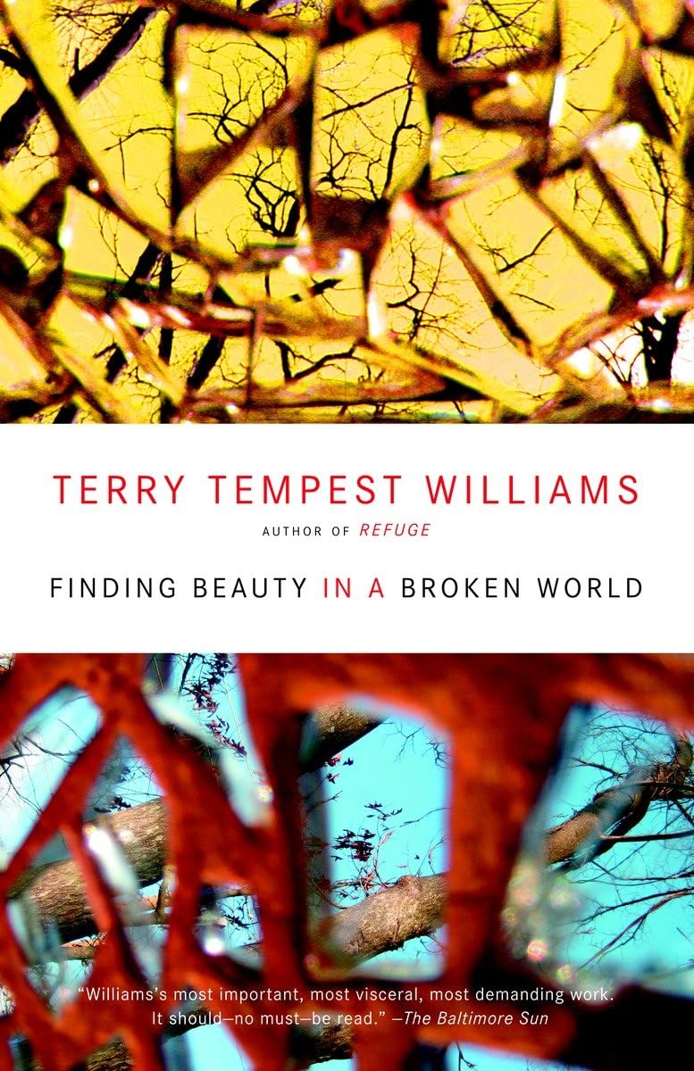 Finding Beauty In A Broken World,New