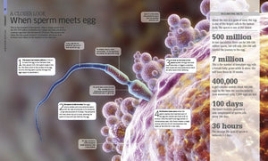 The Pregnancy Encyclopedia: All Your Questions Answered,New
