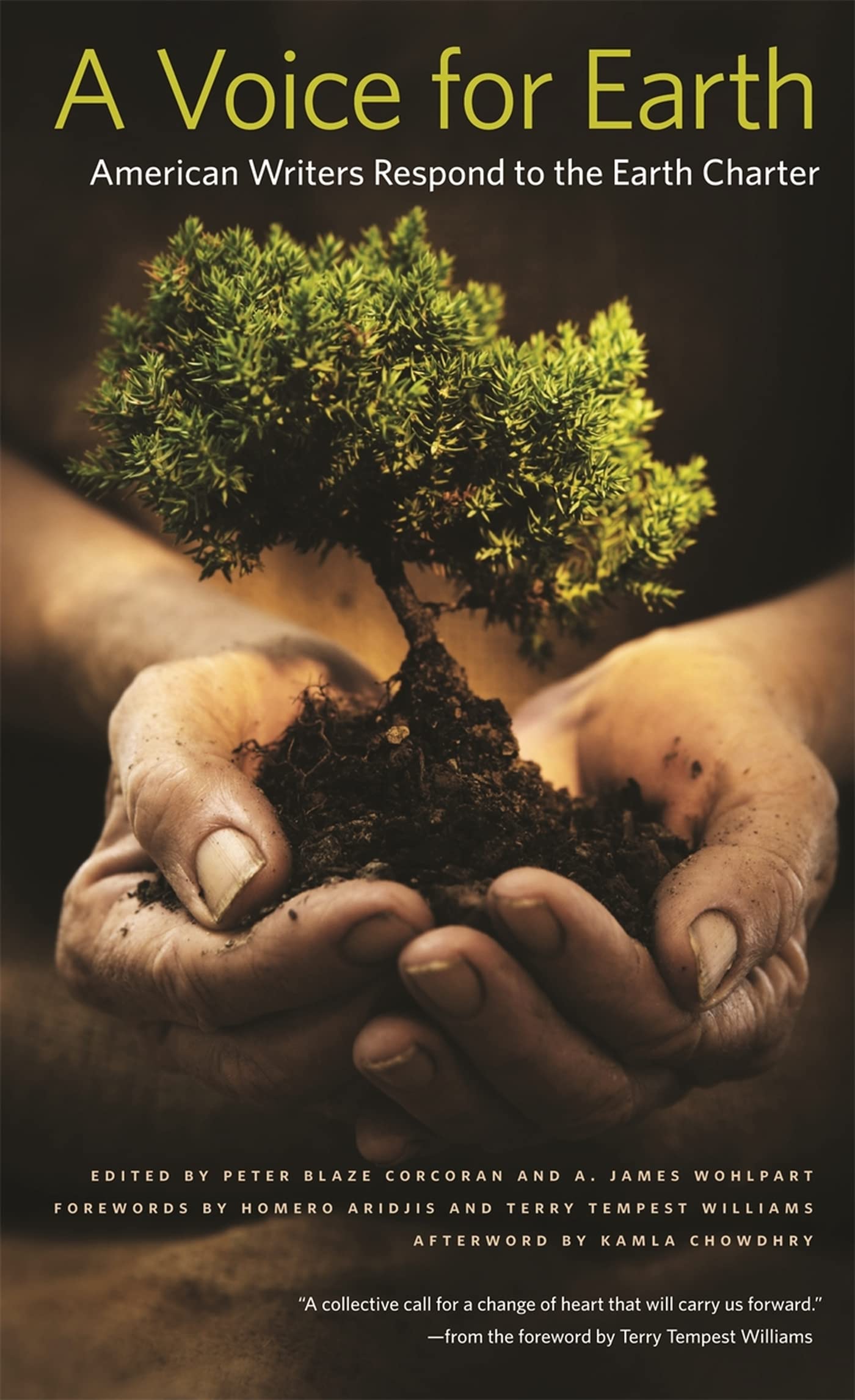 A Voice For Earth: American Writers Respond To The Earth Charter,New