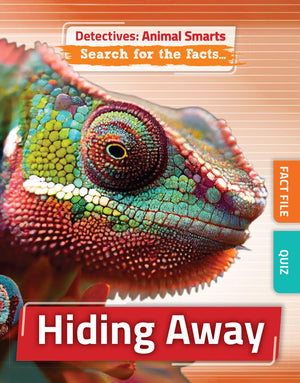 HIDING AWAY