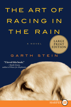 ART RACING RAIN,Used