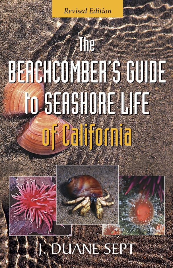 The Beachcomber'S Guide To Seashore Life Of California