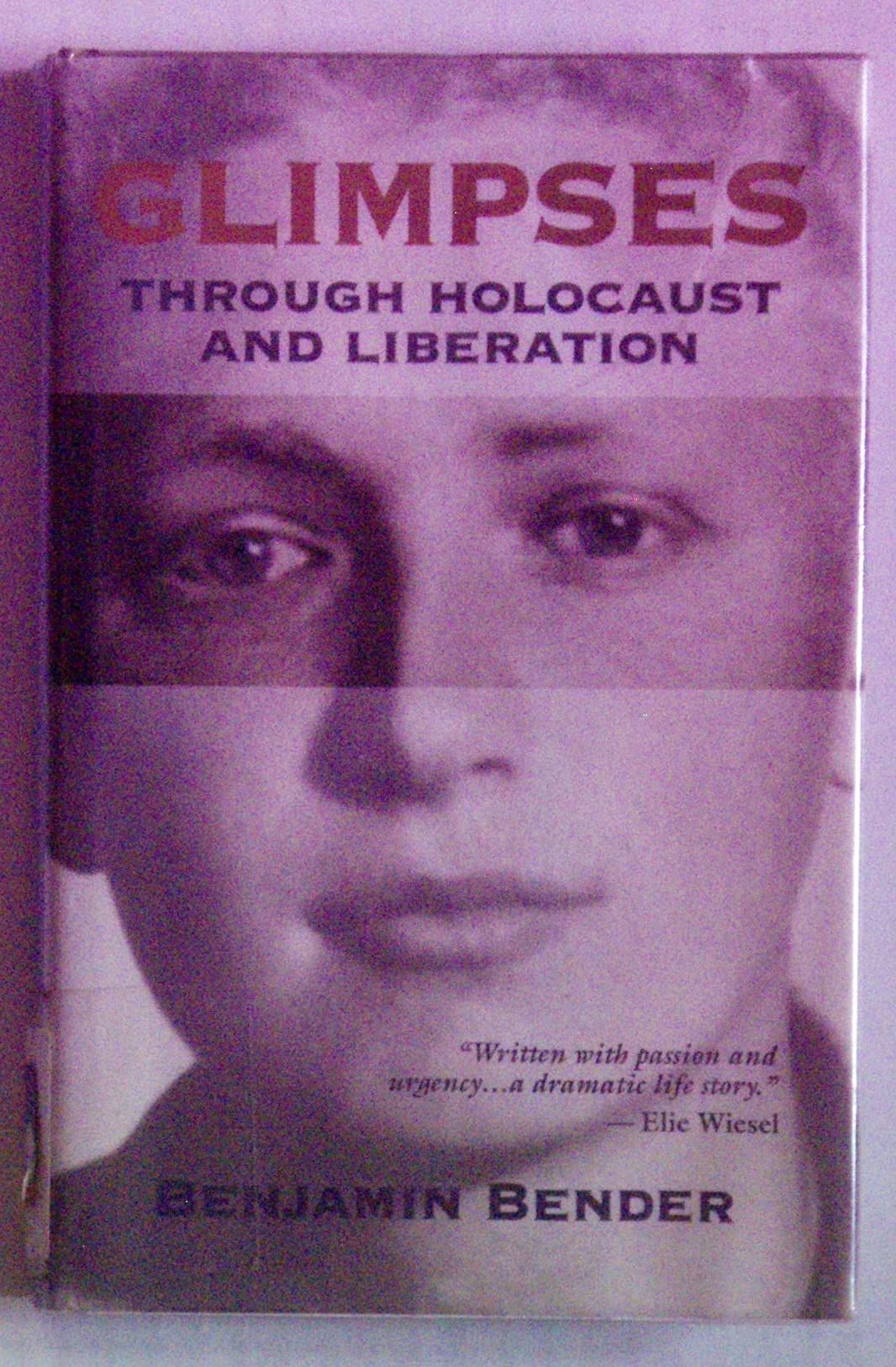 Glimpses: Through Holocaust and Liberation,Used