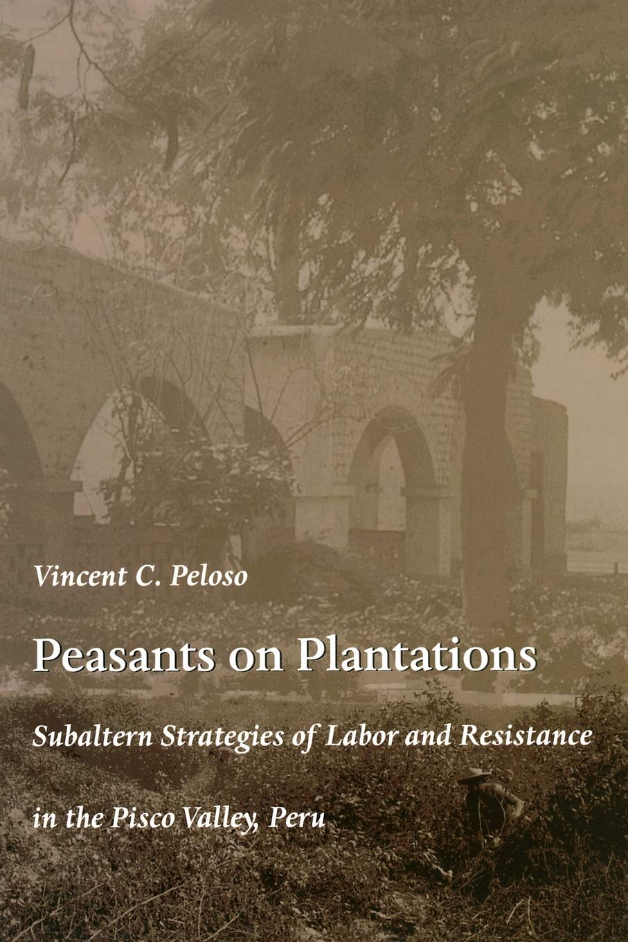 Peasants On Plantations: Subaltern Strategies Of Labor And Resistance In The Pisco Valley, Peru (Latin America Otherwise),Used
