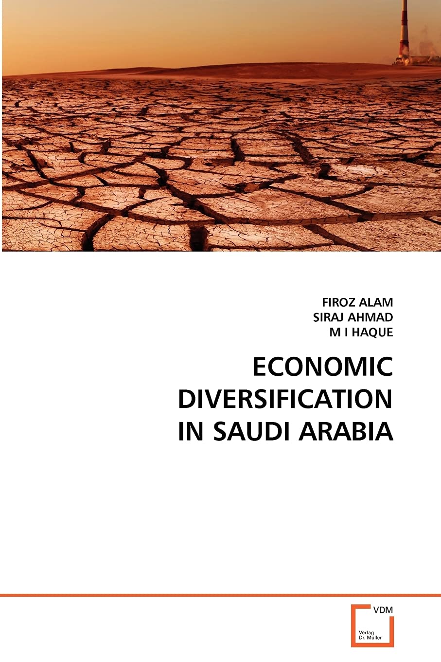 ECONOMIC DIVERSIFICATION IN SAUDI ARABIA,Used