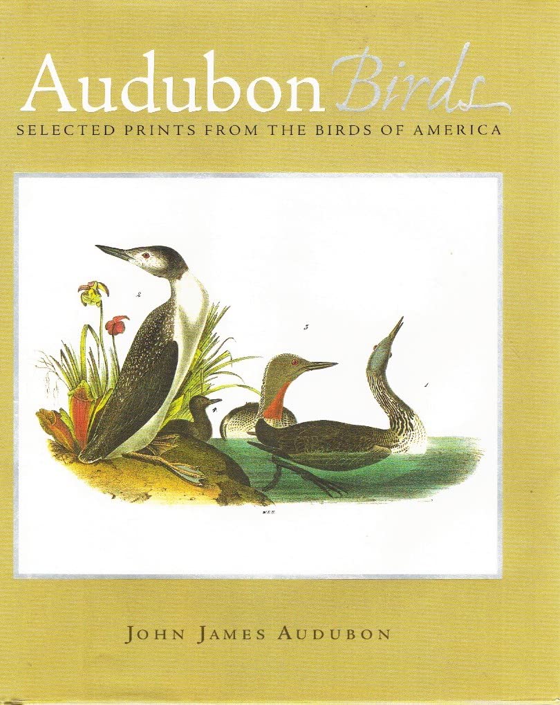 Audubon Birds: Selected Prints From the Birds of America,Used