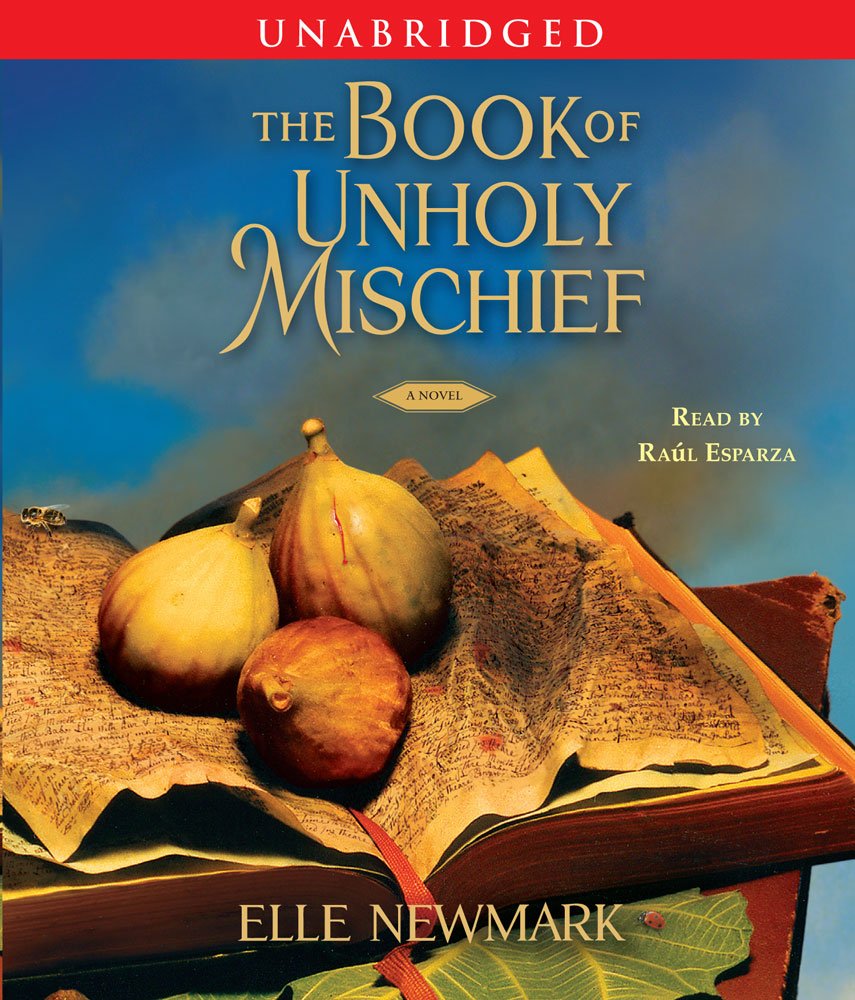 The Book of Unholy Mischief: A Novel,Used