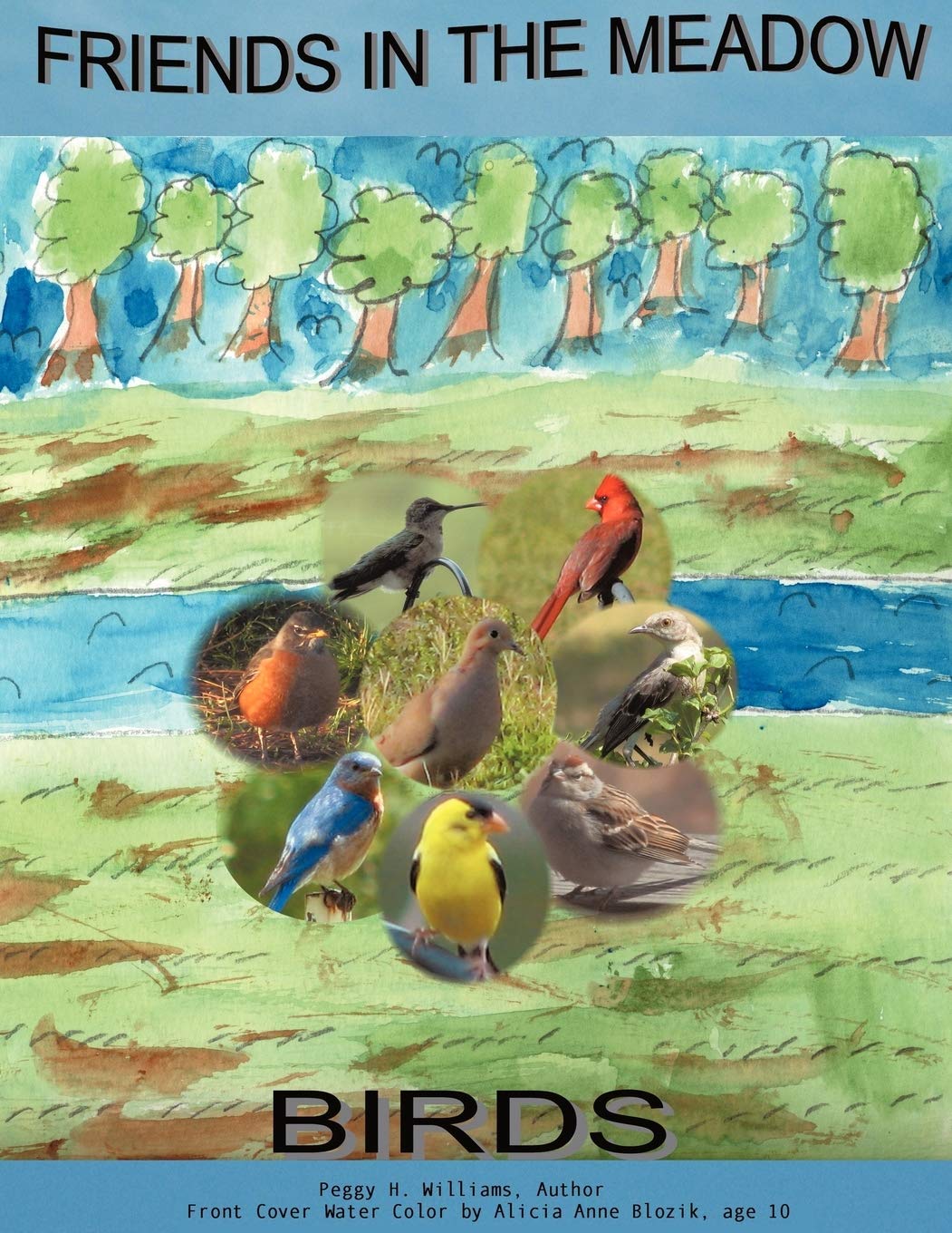 Friends in the Meadow: Birds,Used