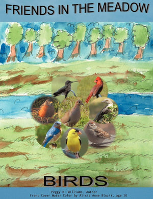 Friends in the Meadow: Birds,Used