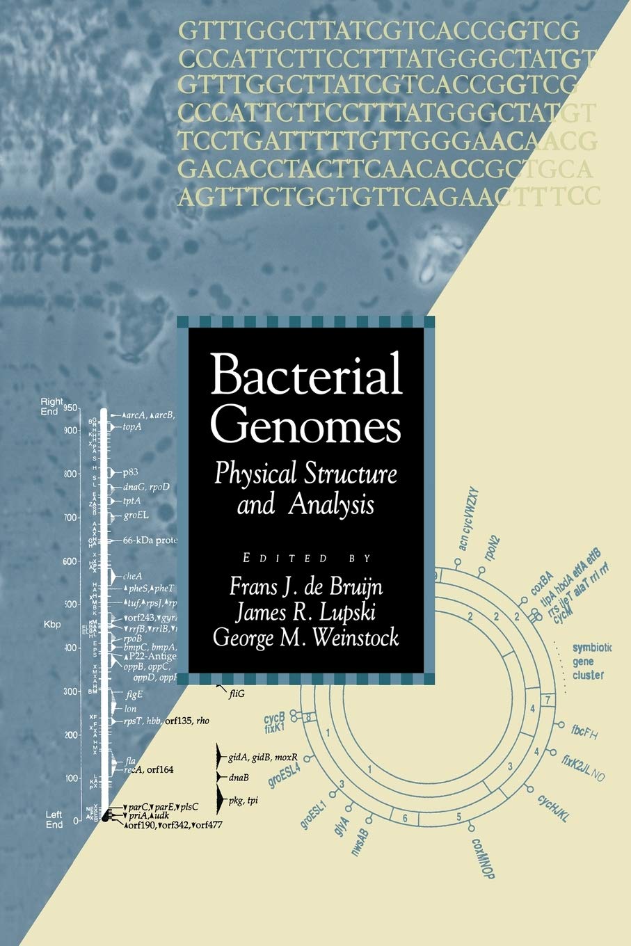 Bacterial Genomes: Physical Structure and Analysis,Used