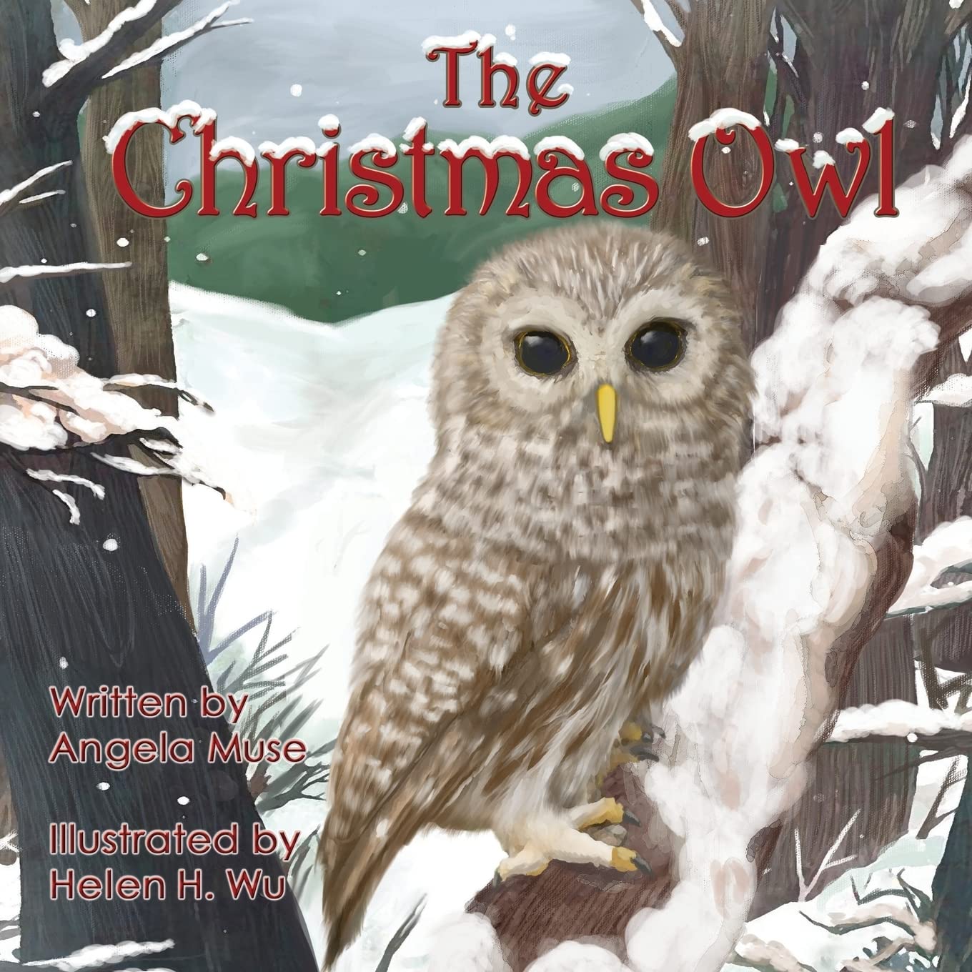 The Christmas Owl,Used