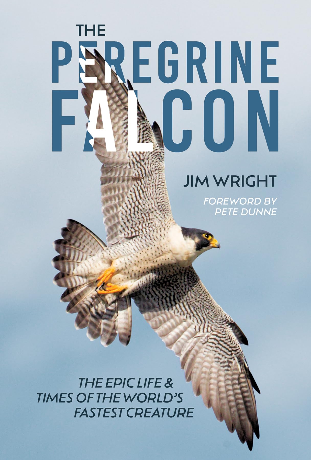 The Peregrine Falcon: The Epic Life And Times Of The WorldS Fastest Creature