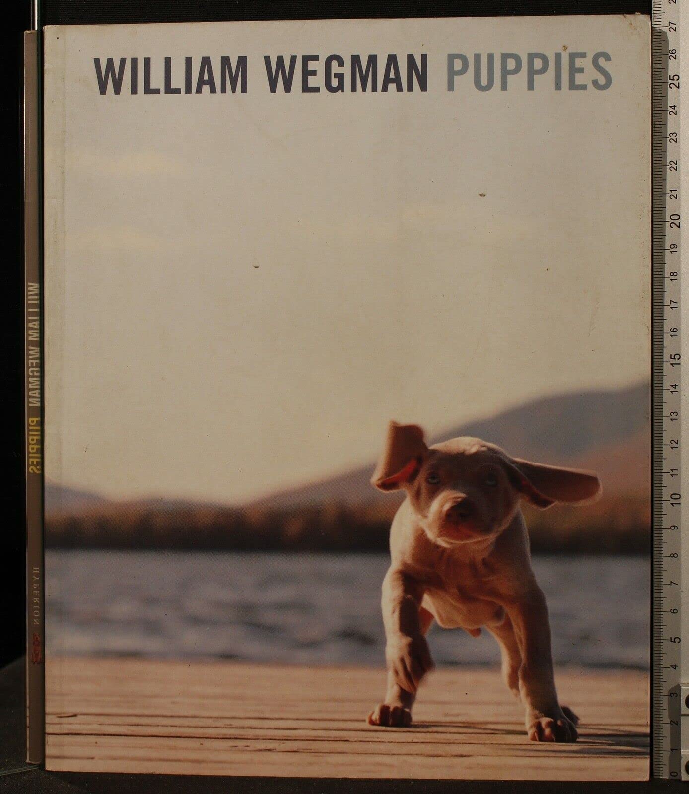 William Wegman Puppies,Used
