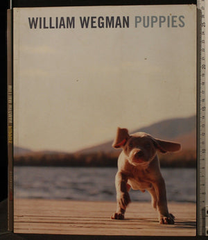 William Wegman Puppies,Used