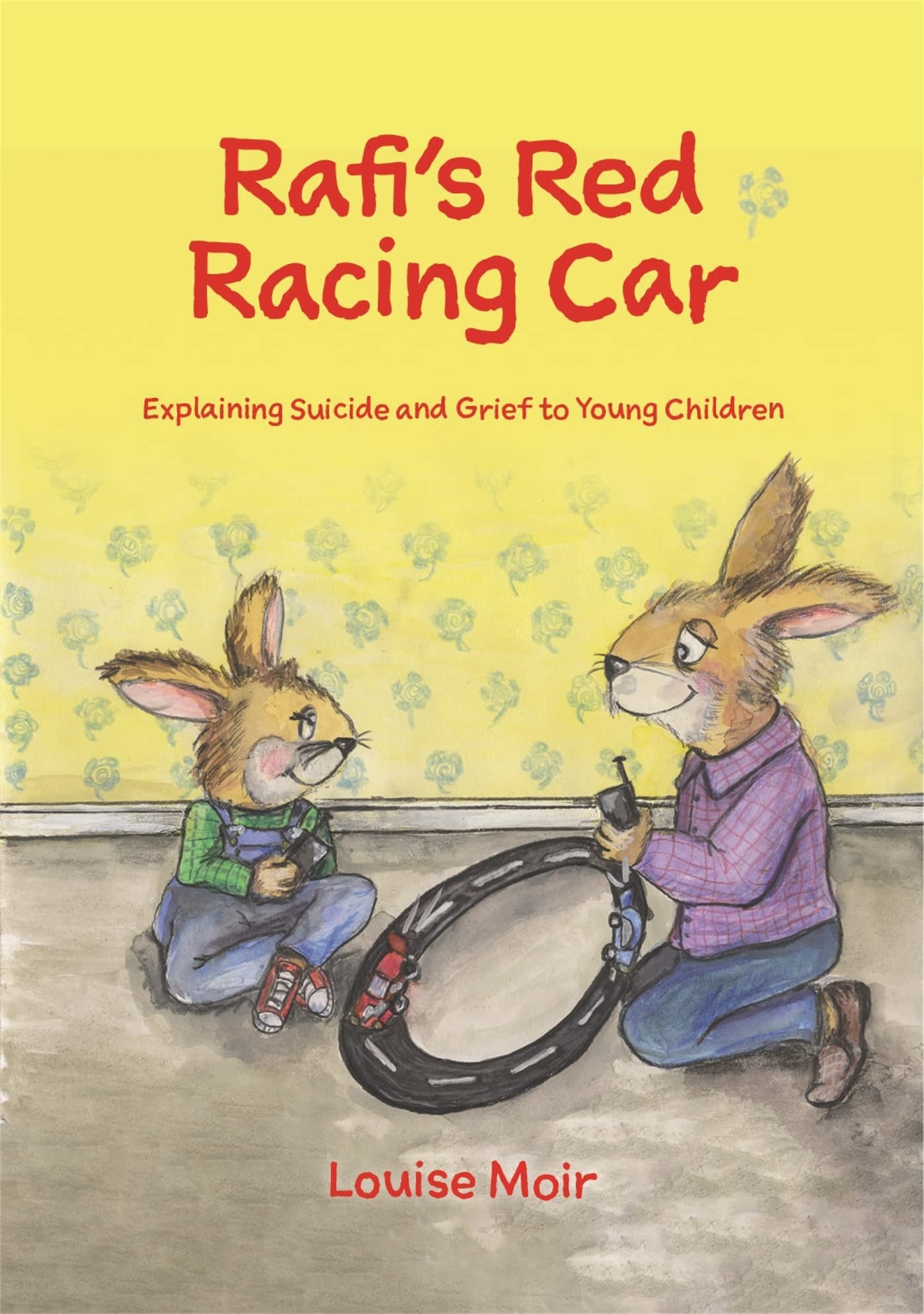 Rafis Red Racing Car: Explaining Suicide and Grief to Young Children,Used