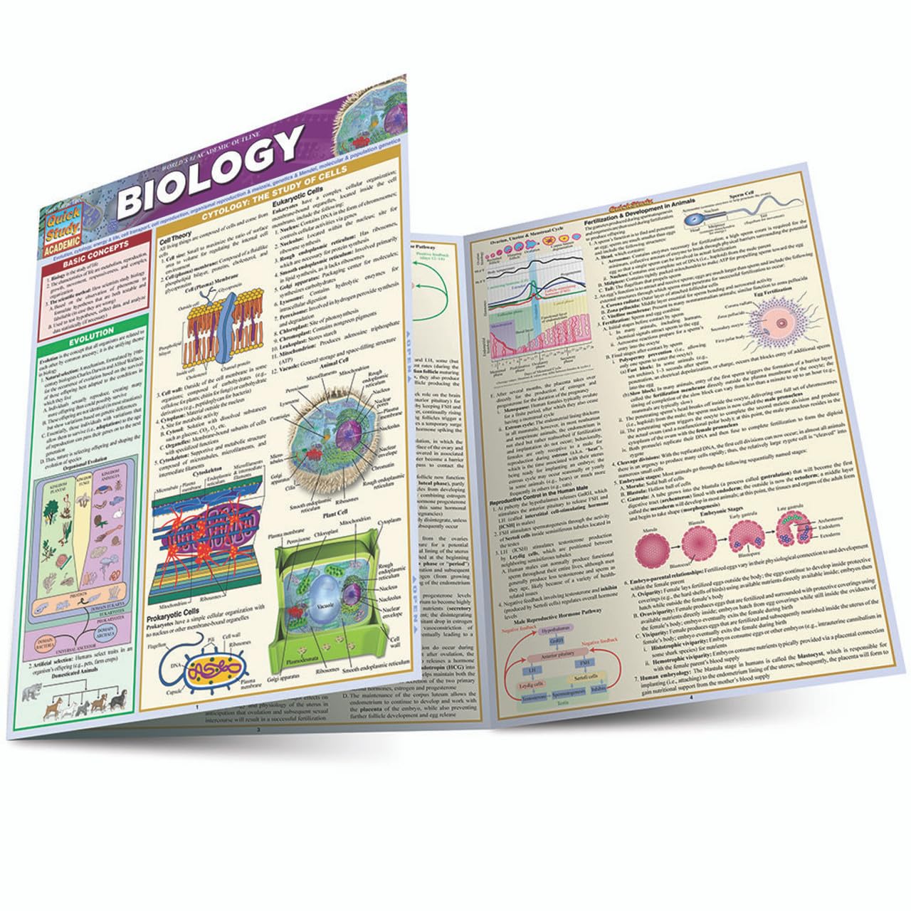Biology: a QuickStudy Laminated Reference Guide (QuickStudy Academic),Used