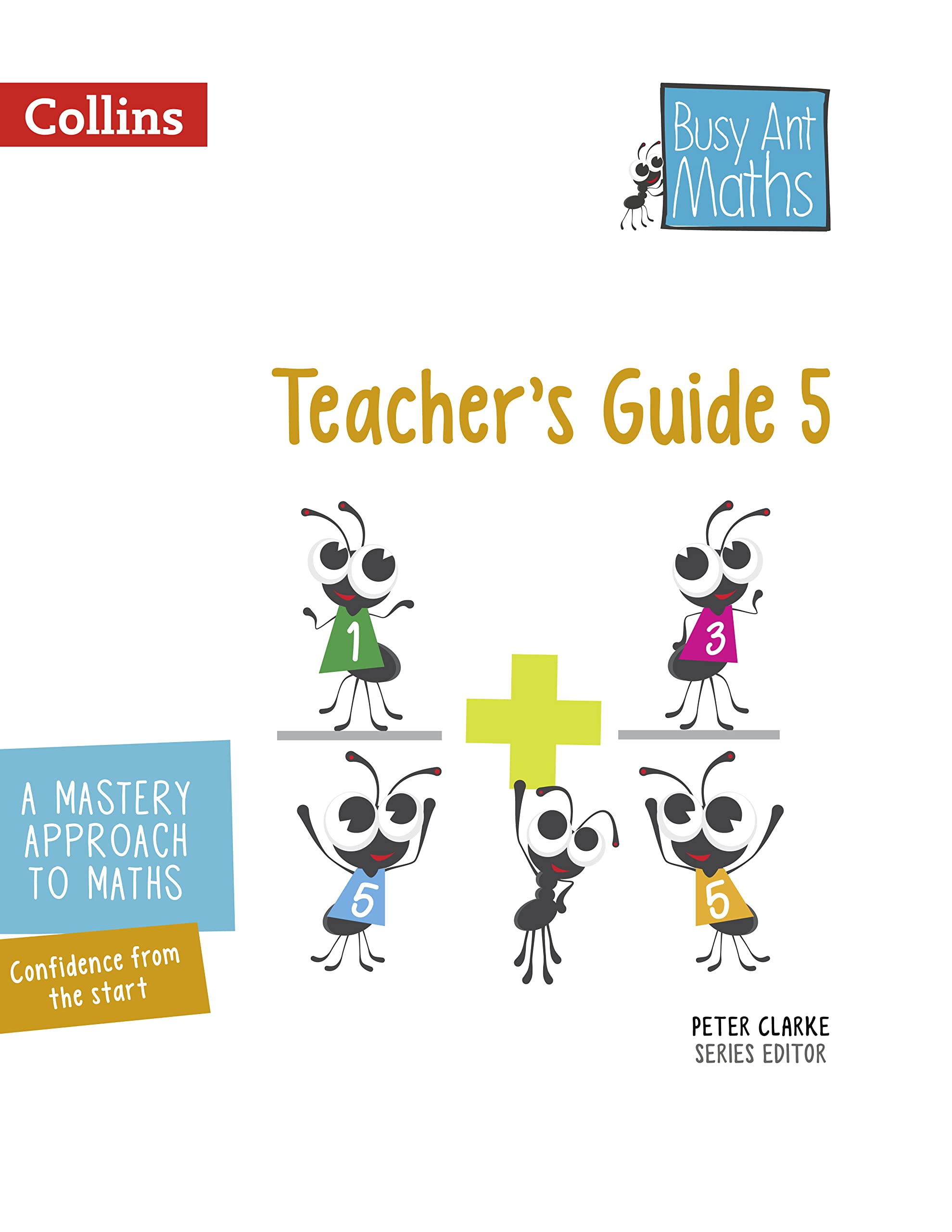 Busy Ant Maths  Teachers Guide 5,Used
