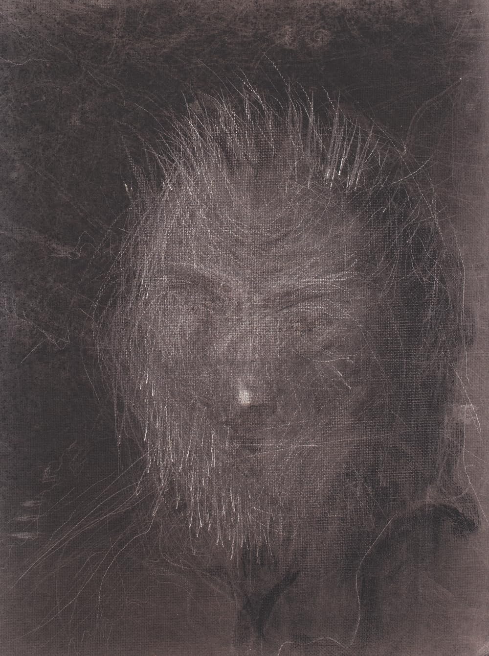 Miquel Barcel: Artist's Portfolio (Cuaderno De Artista / Artist's Sketchbook),Used