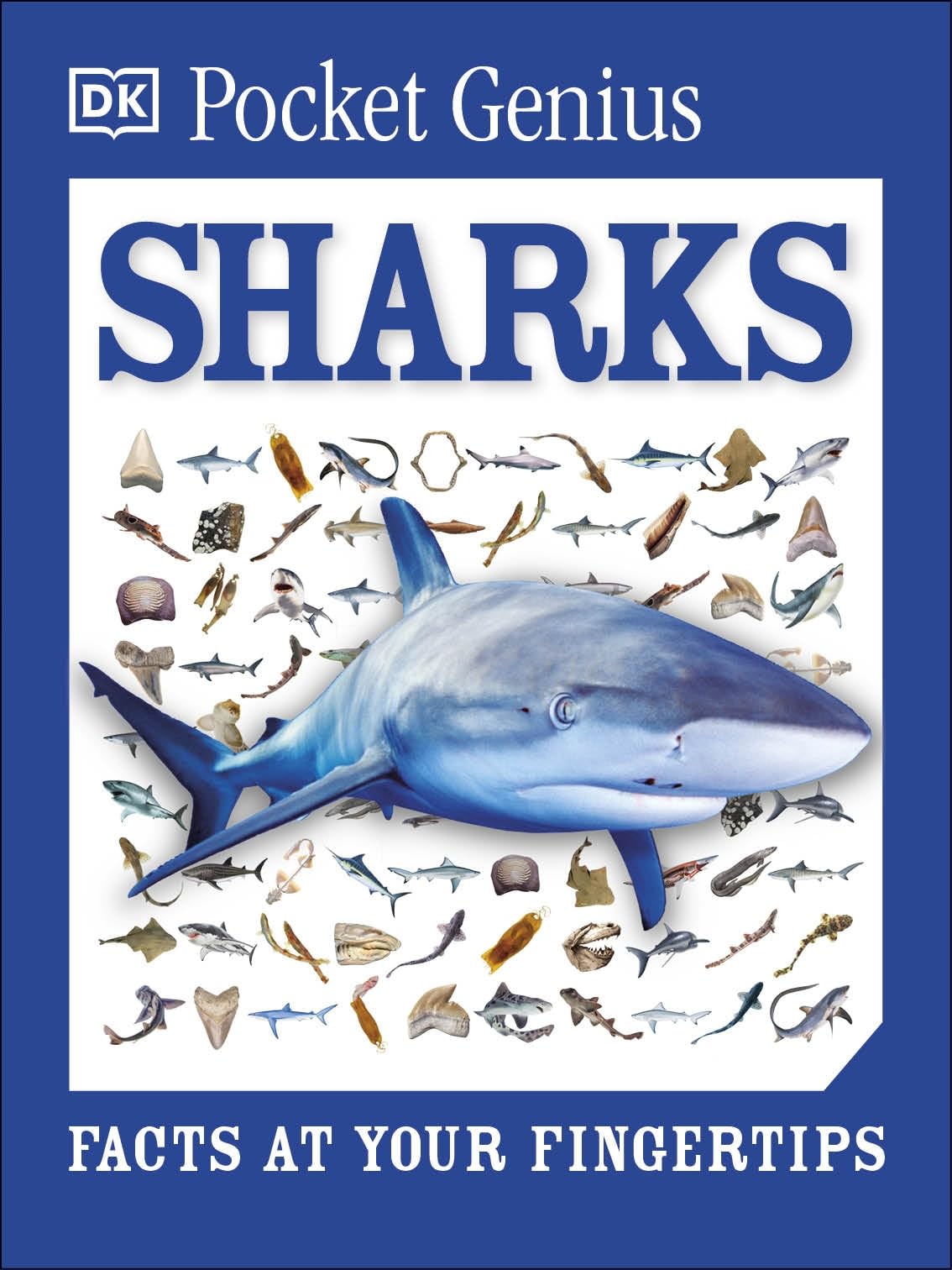 Pocket Genius: Sharks: Facts at Your Fingertips,New