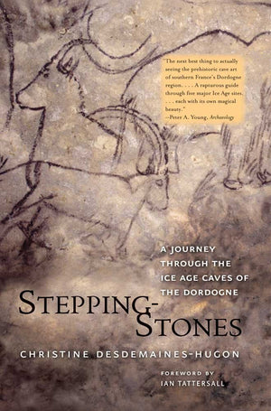 SteppingStones: A Journey through the Ice Age Caves of the Dordogne,Used
