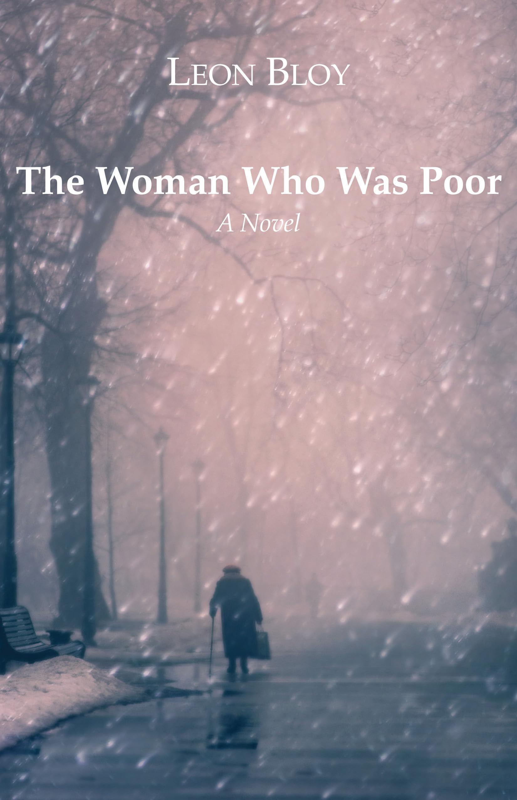 The Woman Who Was Poor: A Novel,Used
