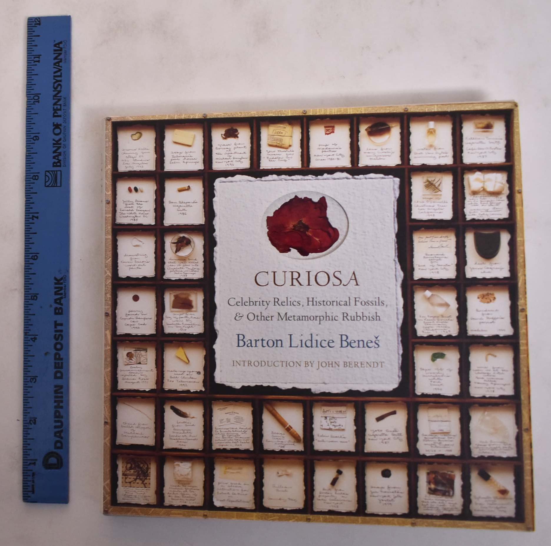 Curiosa: Celebrity Relics, Historical Fossils, And Other Metamorphic Rubbish